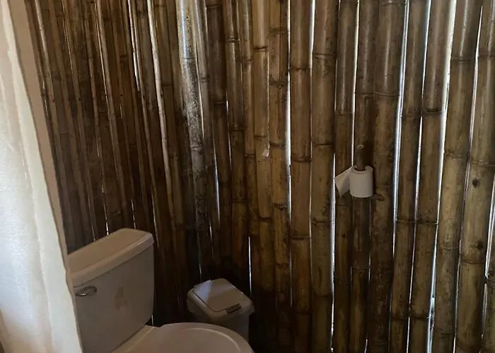 Bamboo *
